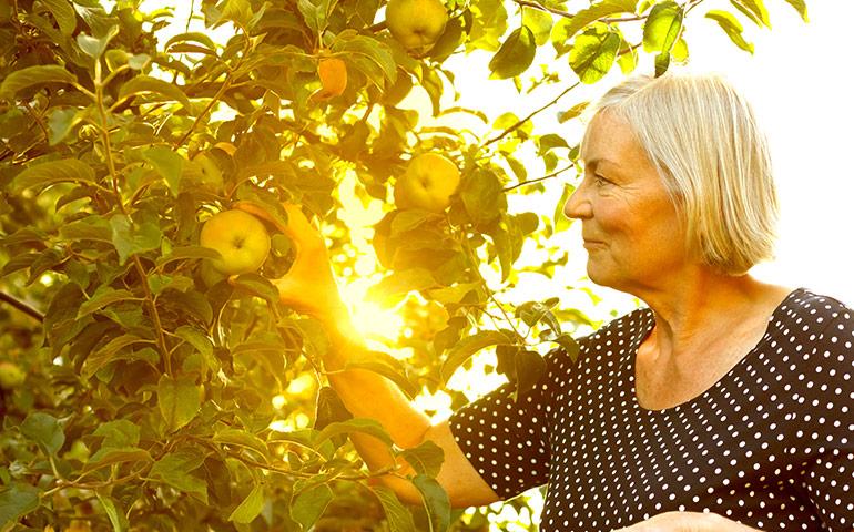 Vitamine D : démêlons le vrai du faux